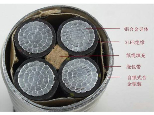  ZA-AC90(YJLHS)(-40) 铠装电缆