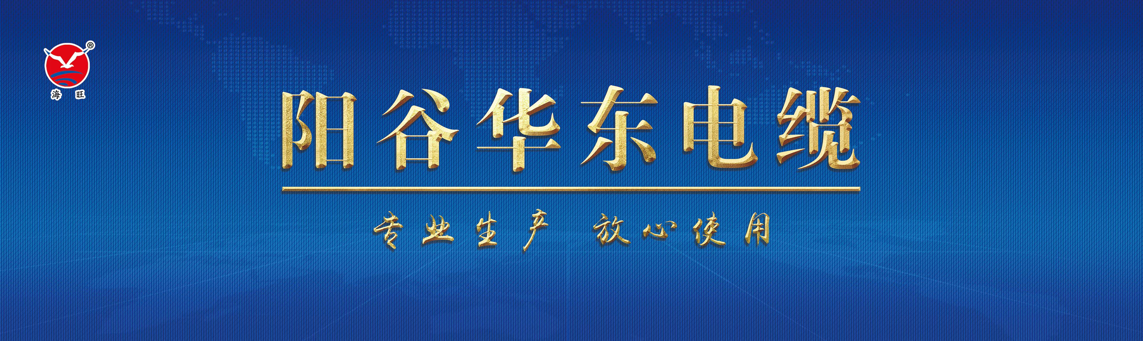 筑牢 CCC 质量防线｜阳谷华东特种电缆完成阻燃电缆全工序模拟核查并全部通过